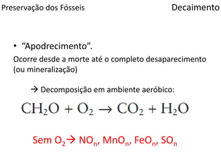 Preservação dos Fósseis
• “Apodrecimento”.
Ocorre desde a morte até o completo desaparecimento
(ou mineralização)
Decaimento
 Decomposição em ambiente aeróbico:
Sem O2 NOn, MnOn, FeOn, SOn
 