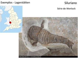 Exemplos - Lagerstätten Siluriano
Série de Wenlock
 