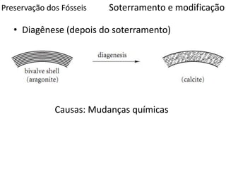 Preservação dos Fósseis
• Diagênese (depois do soterramento)
Causas: Mudanças químicas
Soterramento e modificação
 