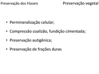 Preservação dos Fósseis
• Permineralização celular;
• Compressão coalizão, fundição cimentada;
• Preservação autigênica;
• Preservação de frações duras
Preservação vegetal
 