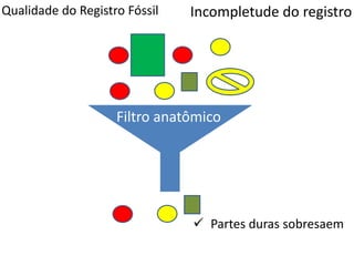 Qualidade do Registro Fóssil
Filtro anatômico
Incompletude do registro
 Partes duras sobresaem
 