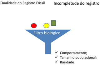 Qualidade do Registro Fóssil
Filtro biológico
Incompletude do registro
 Comportamento;
 Tamanho populacional;
 Raridade
 