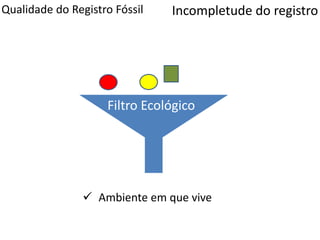 Qualidade do Registro Fóssil
Filtro Ecológico
Incompletude do registro
 Ambiente em que vive
 