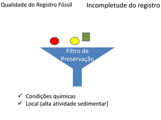 Qualidade do Registro Fóssil
Filtro de
Preservação
Incompletude do registro
 Condições químicas
 Local (alta atividade sedimentar)
 