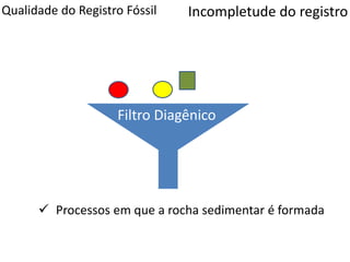 Qualidade do Registro Fóssil
Filtro Diagênico
Incompletude do registro
 Processos em que a rocha sedimentar é formada
 
