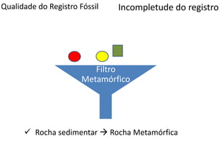 Qualidade do Registro Fóssil
Filtro
Metamórfico
Incompletude do registro
 Rocha sedimentar  Rocha Metamórfica
 