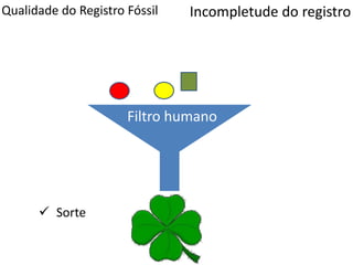 Qualidade do Registro Fóssil
Filtro humano
Incompletude do registro
 Sorte
 