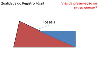 Qualidade do Registro Fóssil
Fósseis
Viés da preservação ou
causa comum?
 