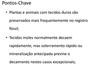 Pontos-Chave
• Plantas e animais com tecidos duros são
preservados mais frequentemente no registro
fóssil;
• Tecidos moles normalmente decaem
rapidamente, mas soterramento rápido ou
mineralização antecipada previne o
decaimento nestes casos excepcionais;
 