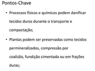 Pontos-Chave
• Processos físicos e químicos podem danificar
tecidos duros durante o transporte e
compactação;
• Plantas podem ser preservadas como tecidos
permineralizados, compressão por
coalizão, fundição cimentada ou em frações
duras;
 