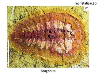 recristalização
Aragonita
 