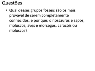 Questões
• Qual desses grupos fósseis são os mais
provável de serem completamente
conhecidos, e por que: dinossauros e sapos,
moluscos, aves e morcegos, caracóis ou
moluscos?
 