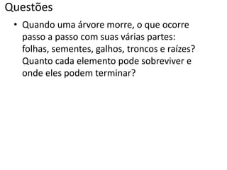 Questões
• Quando uma árvore morre, o que ocorre
passo a passo com suas várias partes:
folhas, sementes, galhos, troncos e raízes?
Quanto cada elemento pode sobreviver e
onde eles podem terminar?
 