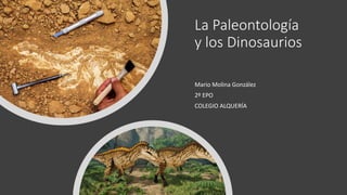 La Paleontología
y los Dinosaurios
Mario Molina González
2º EPO
COLEGIO ALQUERÍA
 