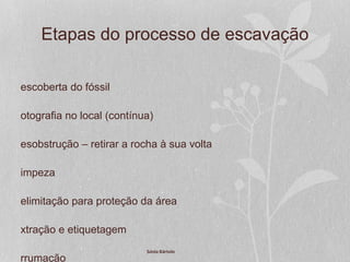 Etapas do processo de escavação
escoberta do fóssil
otografia no local (contínua)
esobstrução – retirar a rocha à sua volta
impeza
elimitação para proteção da área
xtração e etiquetagem
rrumação
Sónia Bártolo
 