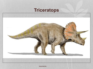 Triceratops
Sónia Bártolo
 