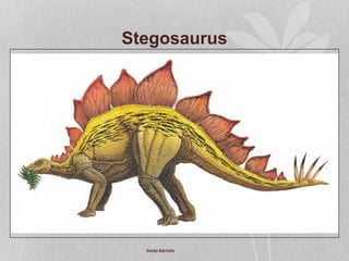 Stegosaurus
Sónia Bártolo
 
