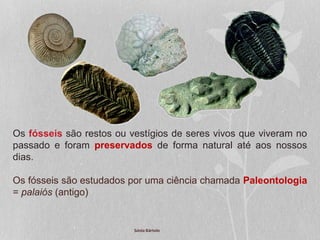 Os fósseis são restos ou vestígios de seres vivos que viveram no
passado e foram preservados de forma natural até aos nossos
dias.
Os fósseis são estudados por uma ciência chamada Paleontologia
= palaiós (antigo)
Sónia Bártolo
 
