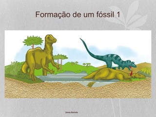 Formação de um fóssil 1
Sónia Bártolo
 