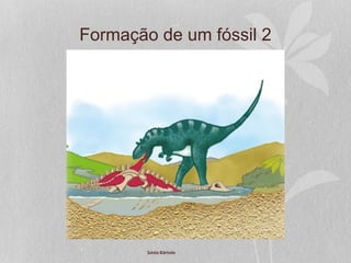 Formação de um fóssil 2
Sónia Bártolo
 