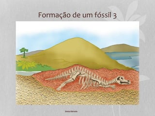 Formação de um fóssil 3
Sónia Bártolo
 