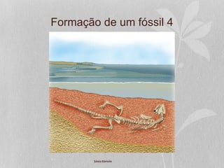 Formação de um fóssil 4
Sónia Bártolo
 