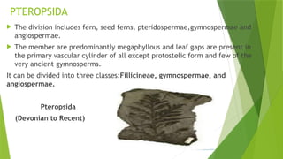 Evolution of Plant Life Through Geological Ages: From Algae to ...