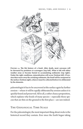 Paleontology a brief history of life by ian tattersall | PDF