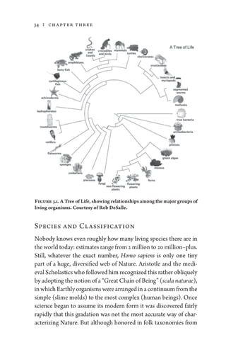 Paleontology a brief history of life by ian tattersall | PDF