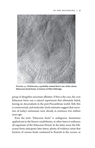 Paleontology a brief history of life by ian tattersall | PDF