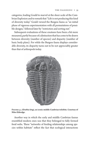 Paleontology a brief history of life by ian tattersall | PDF