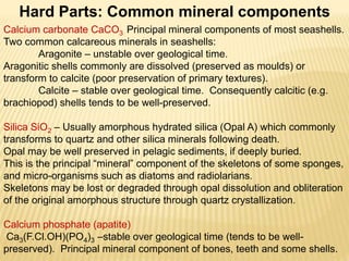 Hard Parts: Common mineral components
Calcium carbonate CaCO3 Principal mineral components of most seashells.
Two common calcareous minerals in seashells:
Aragonite – unstable over geological time.
Aragonitic shells commonly are dissolved (preserved as moulds) or
transform to calcite (poor preservation of primary textures).
Calcite – stable over geological time. Consequently calcitic (e.g.
brachiopod) shells tends to be well-preserved.
Silica SiO2 – Usually amorphous hydrated silica (Opal A) which commonly
transforms to quartz and other silica minerals following death.
Opal may be well preserved in pelagic sediments, if deeply buried.
This is the principal “mineral” component of the skeletons of some sponges,
and micro-organisms such as diatoms and radiolarians.
Skeletons may be lost or degraded through opal dissolution and obliteration
of the original amorphous structure through quartz crystallization.
Calcium phosphate (apatite)
Ca3(F.Cl.OH)(PO4)3 –stable over geological time (tends to be well-
preserved). Principal mineral component of bones, teeth and some shells.
 