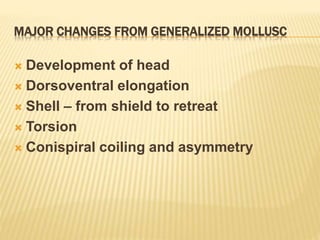 MAJOR CHANGES FROM GENERALIZED MOLLUSC
 Development of head
 Dorsoventral elongation
 Shell – from shield to retreat
 Torsion
 Conispiral coiling and asymmetry
 