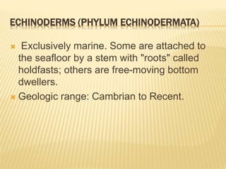 ECHINODERMS (PHYLUM ECHINODERMATA)
 Exclusively marine. Some are attached to
the seafloor by a stem with "roots" called
holdfasts; others are free-moving bottom
dwellers.
 Geologic range: Cambrian to Recent.
 