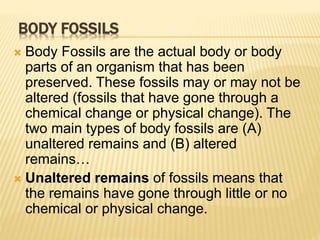 BODY FOSSILS
 Body Fossils are the actual body or body
parts of an organism that has been
preserved. These fossils may or may not be
altered (fossils that have gone through a
chemical change or physical change). The
two main types of body fossils are (A)
unaltered remains and (B) altered
remains…
 Unaltered remains of fossils means that
the remains have gone through little or no
chemical or physical change.
 