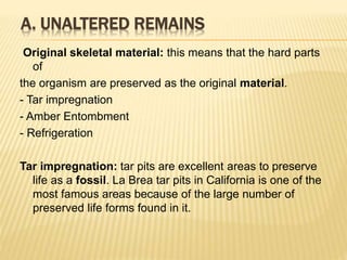 A. UNALTERED REMAINS
Original skeletal material: this means that the hard parts
of
the organism are preserved as the original material.
- Tar impregnation
- Amber Entombment
- Refrigeration
Tar impregnation: tar pits are excellent areas to preserve
life as a fossil. La Brea tar pits in California is one of the
most famous areas because of the large number of
preserved life forms found in it.
 