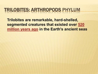 TRILOBITES: ARTHROPODS PHYLUM
Trilobites are remarkable, hard-shelled,
segmented creatures that existed over 520
million years ago in the Earth's ancient seas
 