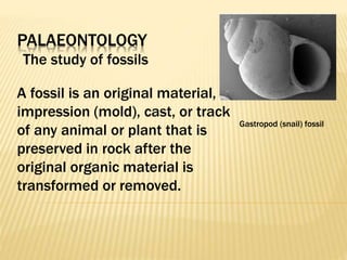 PALAEONTOLOGY
The study of fossils
Gastropod (snail) fossil
A fossil is an original material,
impression (mold), cast, or track
of any animal or plant that is
preserved in rock after the
original organic material is
transformed or removed.
 