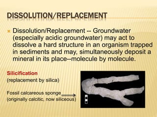 DISSOLUTION/REPLACEMENT
 Dissolution/Replacement -- Groundwater
(especially acidic groundwater) may act to
dissolve a hard structure in an organism trapped
in sediments and may, simultaneously deposit a
mineral in its place--molecule by molecule.
Silicification
(replacement by silica)
Fossil calcareous sponge
(originally calcitic, now siliceous)
 