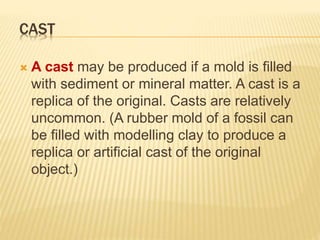 CAST
 A cast may be produced if a mold is filled
with sediment or mineral matter. A cast is a
replica of the original. Casts are relatively
uncommon. (A rubber mold of a fossil can
be filled with modelling clay to produce a
replica or artificial cast of the original
object.)
 
