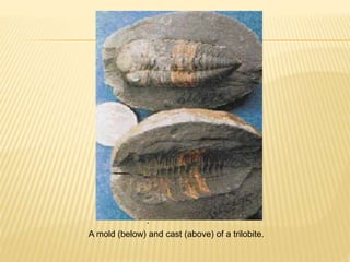 A mold (below) and cast (above) of a trilobite.
.
 