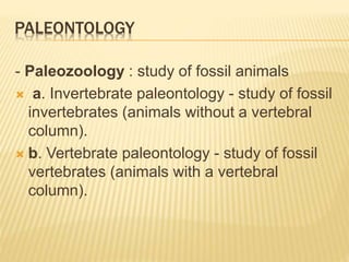 PALEONTOLOGY
- Paleozoology : study of fossil animals
 a. Invertebrate paleontology - study of fossil
invertebrates (animals without a vertebral
column).
 b. Vertebrate paleontology - study of fossil
vertebrates (animals with a vertebral
column).
 