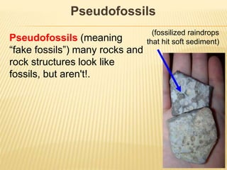 Pseudofossils
Pseudofossils (meaning
“fake fossils”) many rocks and
rock structures look like
fossils, but aren't!.
(fossilized raindrops
that hit soft sediment)
 