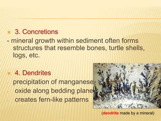 3. Concretions
- mineral growth within sediment often forms
structures that resemble bones, turtle shells,
logs, etc.
 4. Dendrites
- precipitation of manganese
- oxide along bedding planes
- creates fern-like patterns
(dendrite made by a mineral)
 