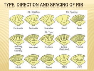 TYPE, DIRECTION AND SPACING OF RIB
 