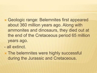  Geologic range: Belemnites first appeared
about 360 million years ago. Along with
ammonites and dinosaurs, they died out at
the end of the Cretaceous period 65 million
years ago.
- all extinct.
 The belemnites were highly successful
during the Jurassic and Cretaceous.
 