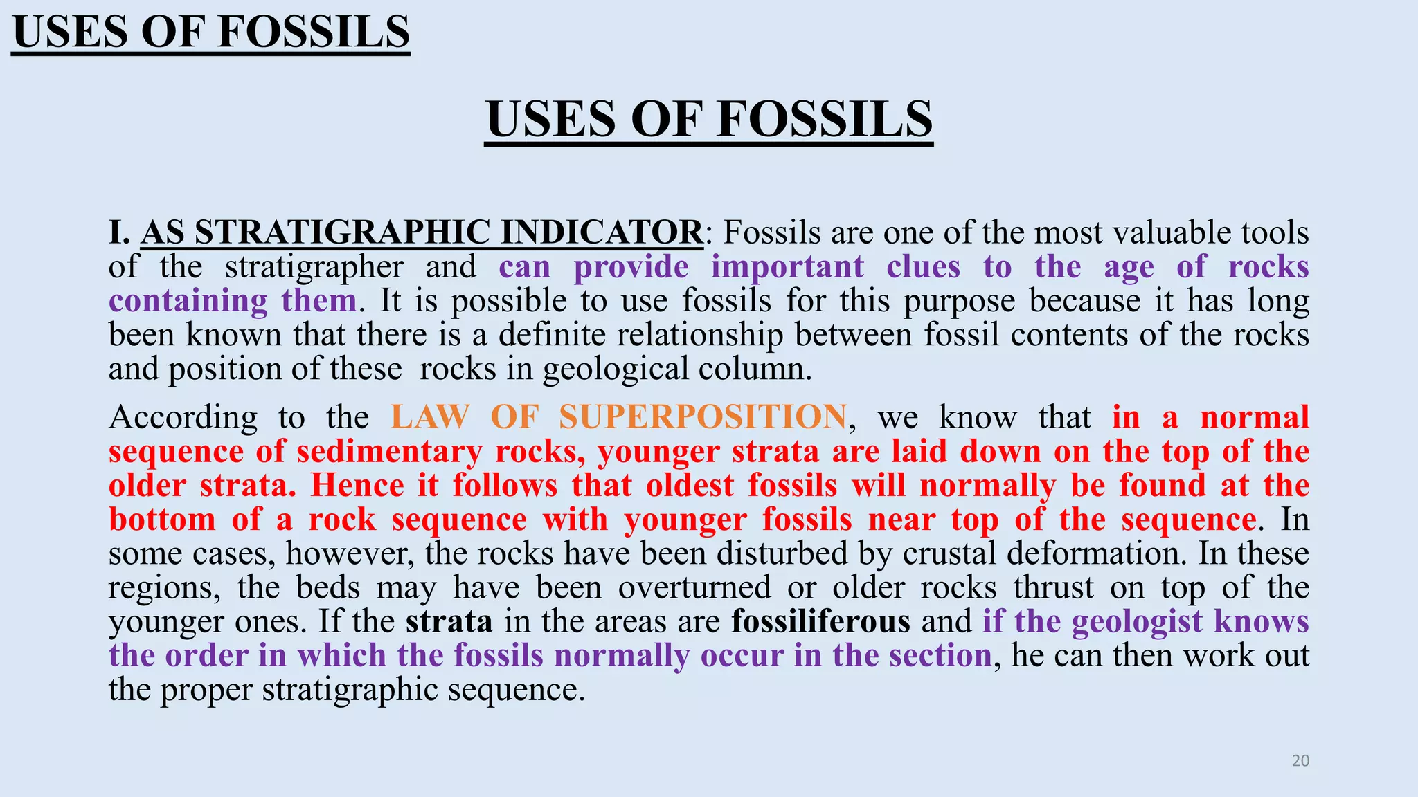 Paleontology, types & uses of fossils | PPT