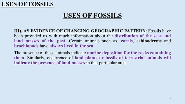 Paleontology, types & uses of fossils | PPT