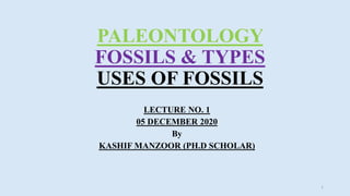 Paleontology, types & uses of fossils | PPT