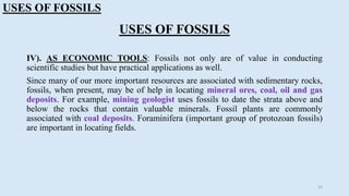 Paleontology, types & uses of fossils | PPT